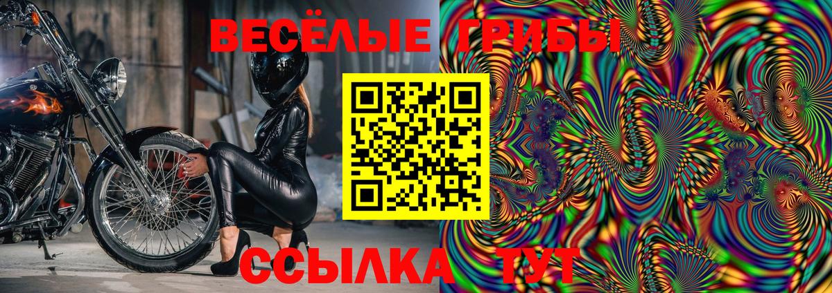 Галлюциногенные грибы MAGIC MUSHROOMS  Псилоцибиновые грибы Cubensis  Вход с VPN  Усть-Джегута 